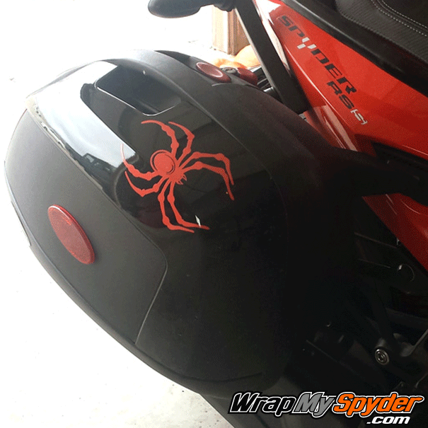 Can-am-Red-Bellerdine-Spider-small