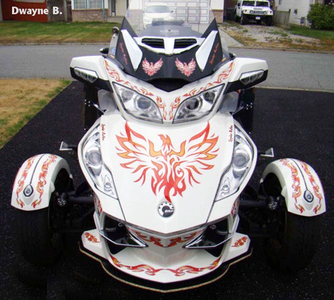 tribal fire pheonix graphics kit