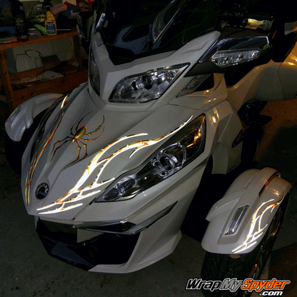 Bellerdine-spider in reflective