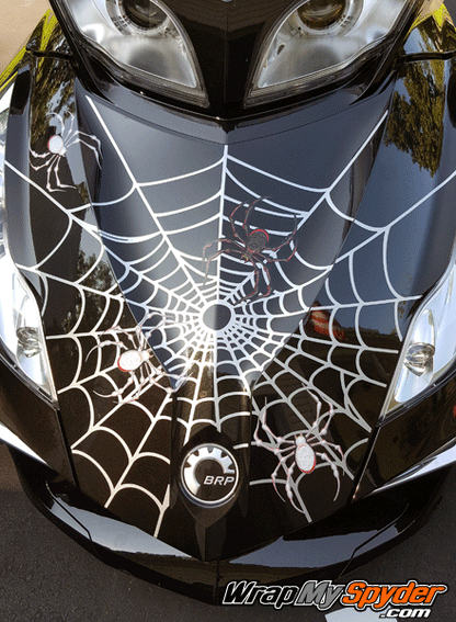 Bellerdine-Web-kit-Silver