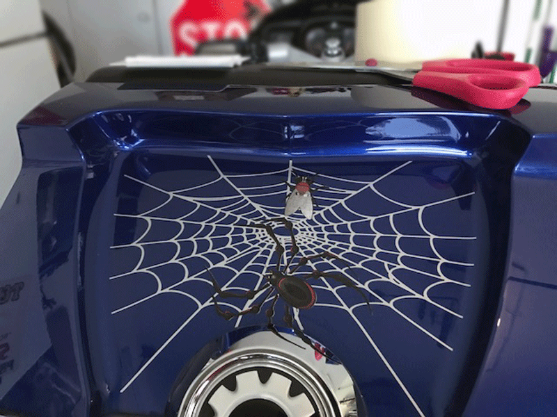 Bellerdine-Web-rear-trunk-silver-metallic