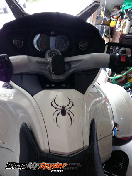 Bellerdine spider on glove box