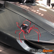 Black-Widow-Crawler-Red-Spider-decal-for-all-models-of-can-am-spider