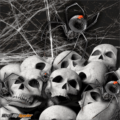 Personalize your F3 with our all new BRP Can-am Spyder F3 Knee Panel kit Black Widow Party