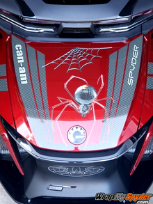 Black-widow-crawler-red-over-Tri-Wing-frunk-stripe-with-custom-carbon-fiber-has-mark-stripes