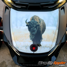 Snow Buffalo frunk wrap 2020 Spyder RT