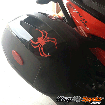 Can-am-Red-Bellerdine-Spider-small