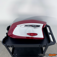 F3-T/ F3-L Saddlebag Side Panel Insert Kit