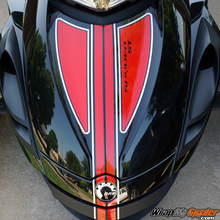 Cheak-Frunk-insert-2-color