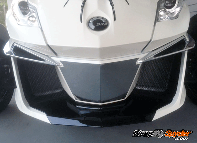 Chrome-Air-Dam-Insert-16-RT