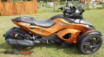 Cosmos-Gray tone graphics kit