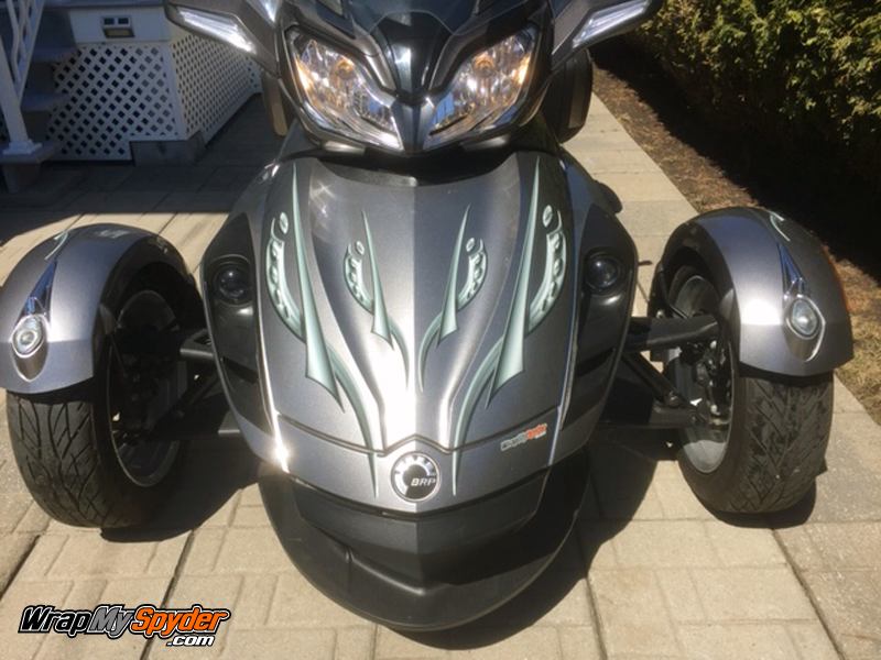 Cosmos-RS, GS, RS-S, ST -kit-Gray