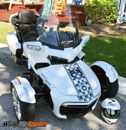 Distressed-checkers Fang GT-Stripes Gray-Black