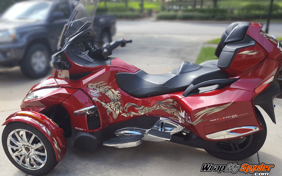 Dragons fury-gold Spyder kit