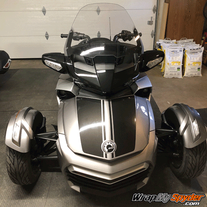 F3-Daytona- special order Metallic-Black color