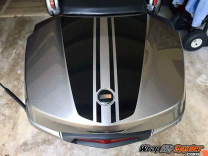 F3-Daytona-Top-Case-Stripe