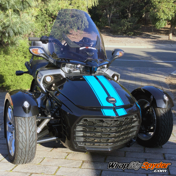 F3-GT- racing stripes Olympic-blue color