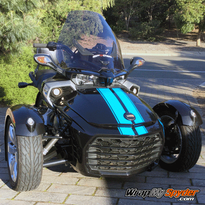 F3-GT- racing stripes Olympic-blue color