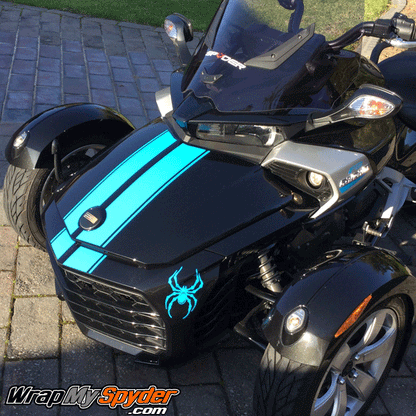 F3-GT- racing stripes Olympic-blue