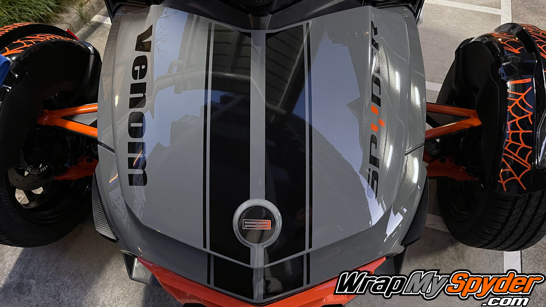 F3-GT-Racing-Stripes-Gloss-Black-with-optional-Text-&-fender-web-kit