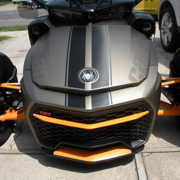 F3-GT-racing-stripes-in-carbon-fiber