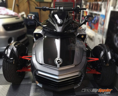 F3 LeMans racing stripe