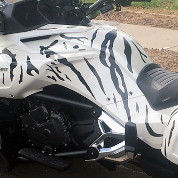 F3-Tiger-stirpes-black-glossy