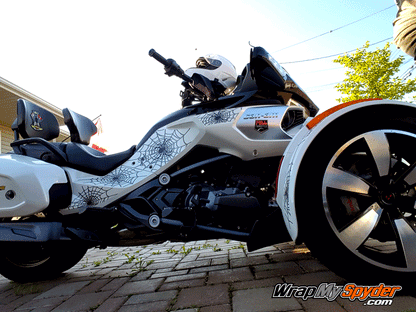 F3-Woody-Web-kit creates a unique look