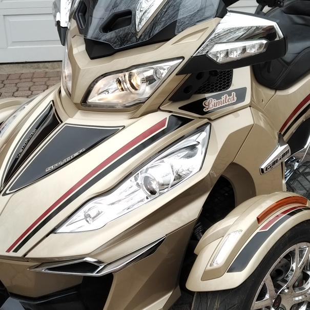 Break Stripe Black - Burgundy