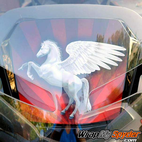 Can-am Spyder RT windshield plate stallion