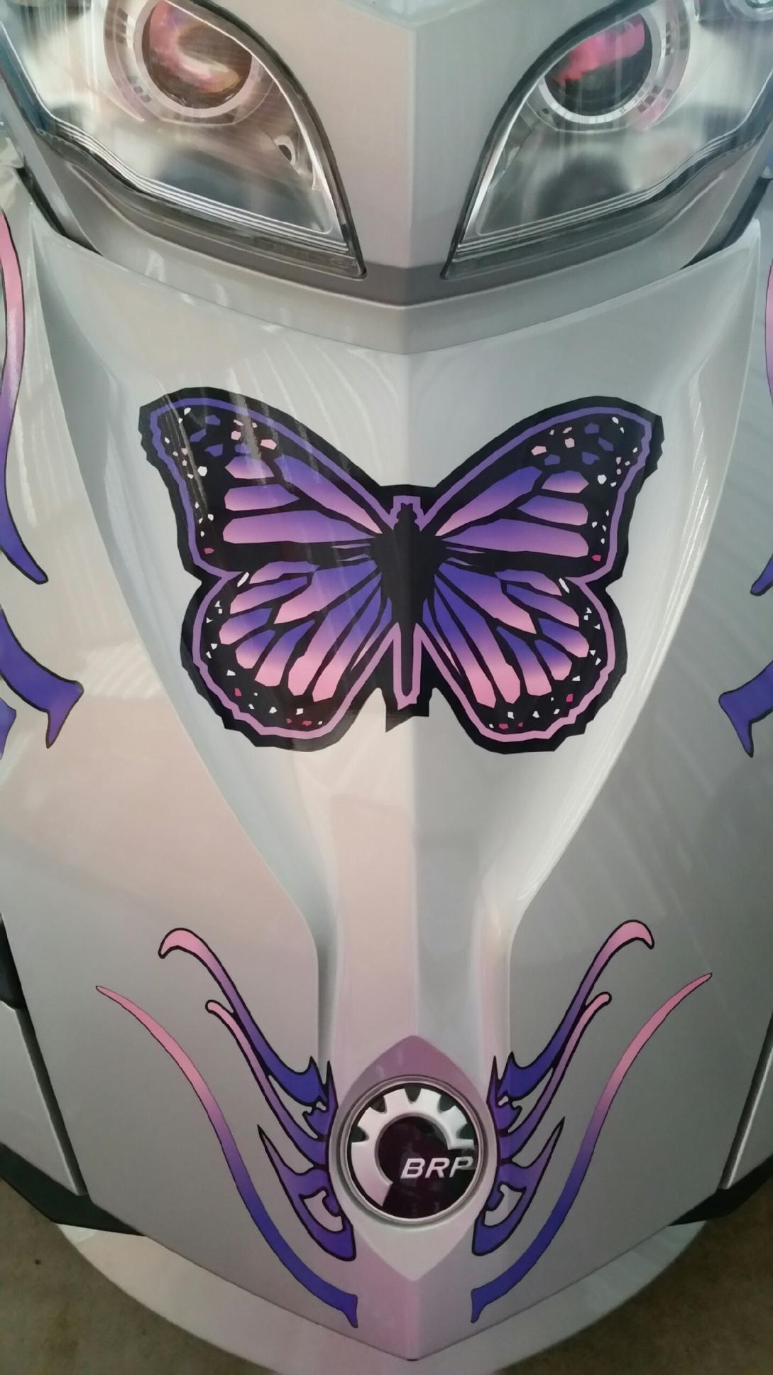 Freedom Wings RT Frunk close up