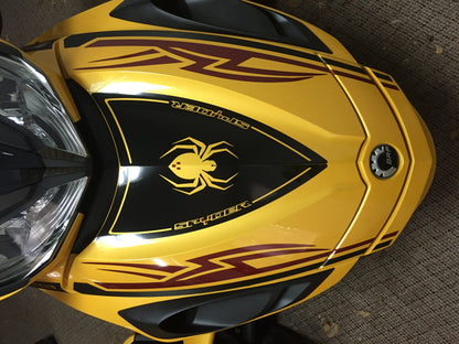 Racing Stripe Kit - Break Stripe Lightning