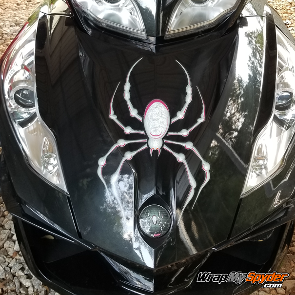 Lady-Bellerdine-Pink