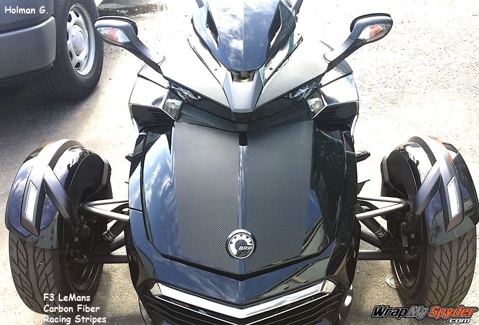 Lemans Carbon fiber F3 racing stripes