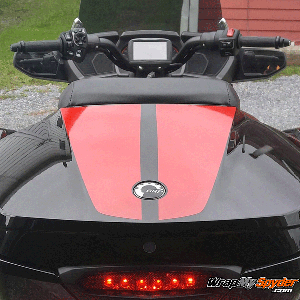 F3 Lemans-Top-Case racing stripe