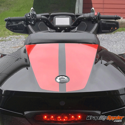 F3 Lemans-Top-Case racing stripe