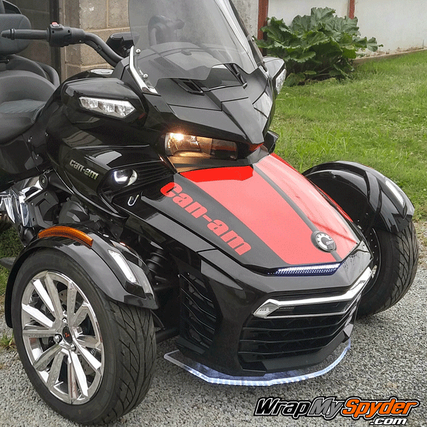 Can-am- frunk text with Lemans racing stripe. Color Red