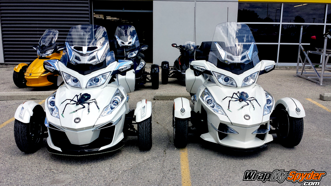 Mechanical-Spider-Twins