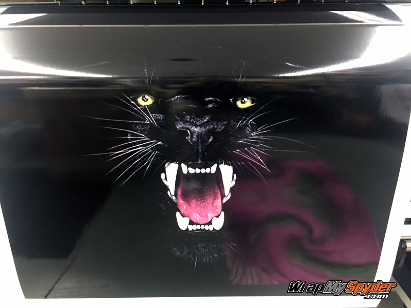 panther-bite frunk wrap