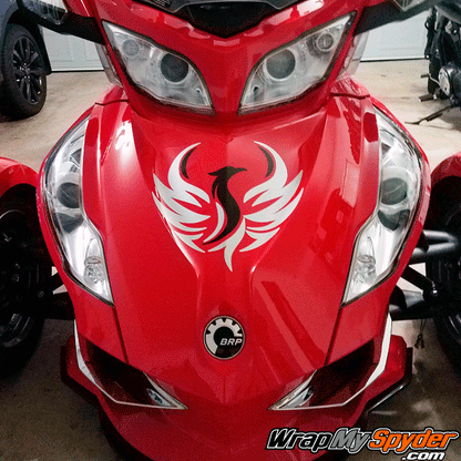 Phoenix-2-color-Silver-Black