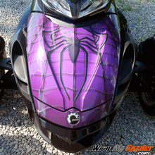 Purple-Spidy-on-web