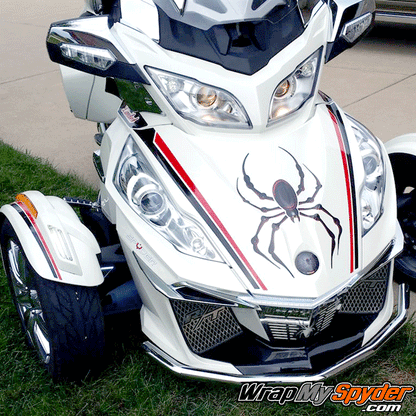 Red-Black-Break-Stripe with Bellerdine spider