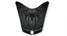 Gray Spidy on Web