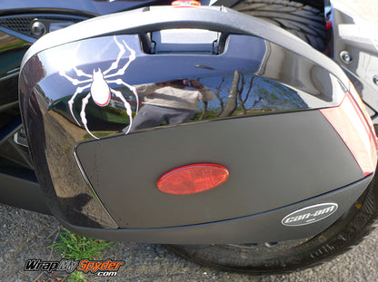 ST S Bellerdine White spider