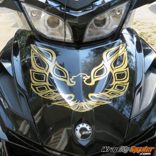 Screaming-Chicken-RT-frunk-gold-metallic