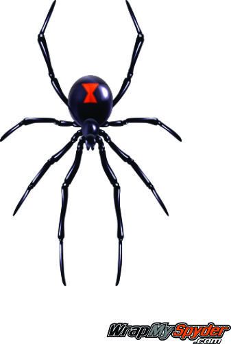 Small widow maker spider