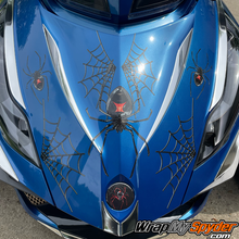 Spider-with-webs-decal-set-for-Can-am-motorcycles-Black-Widow-Creeper-decals