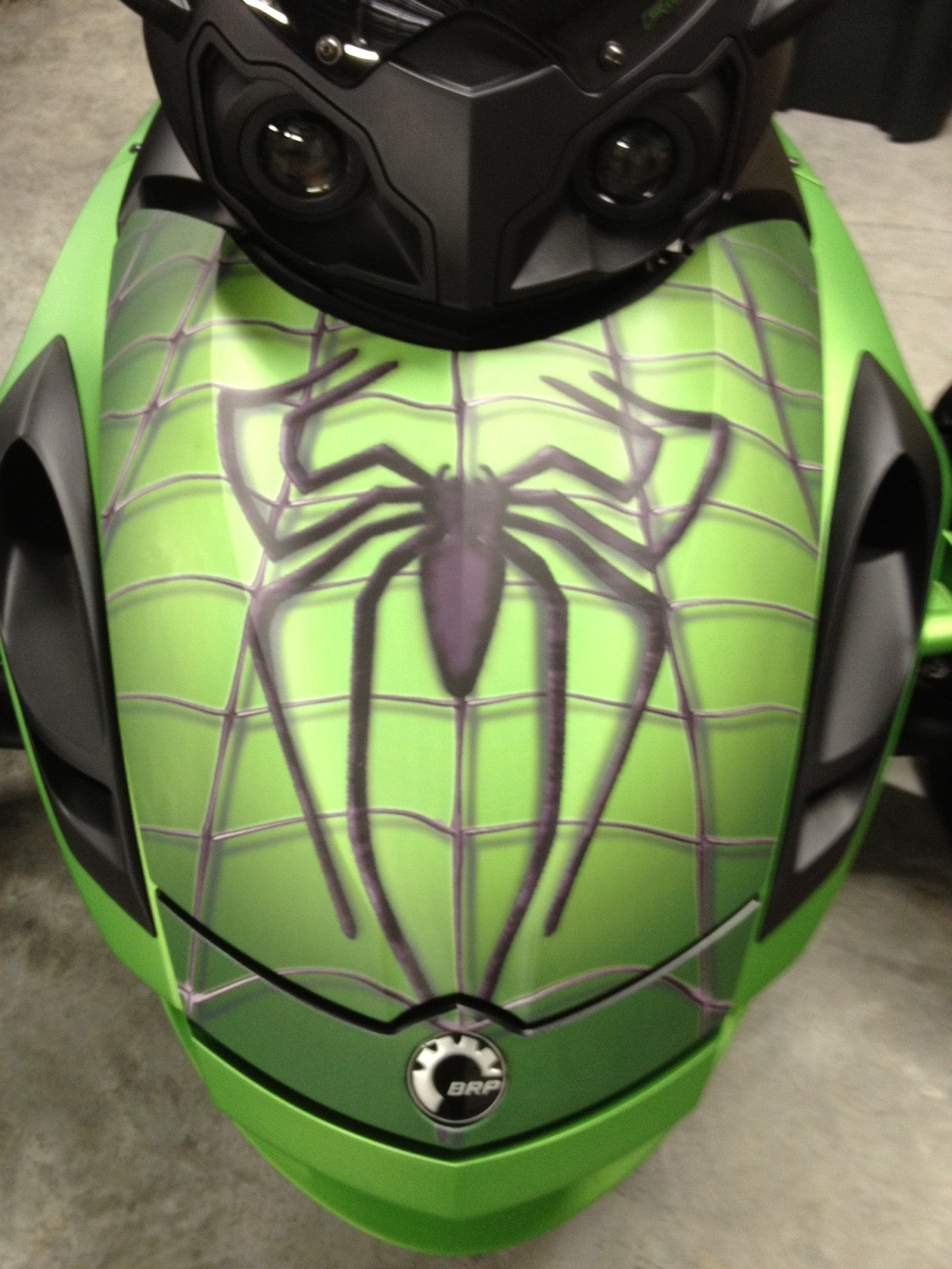 spidy-on-web-green-rs-
