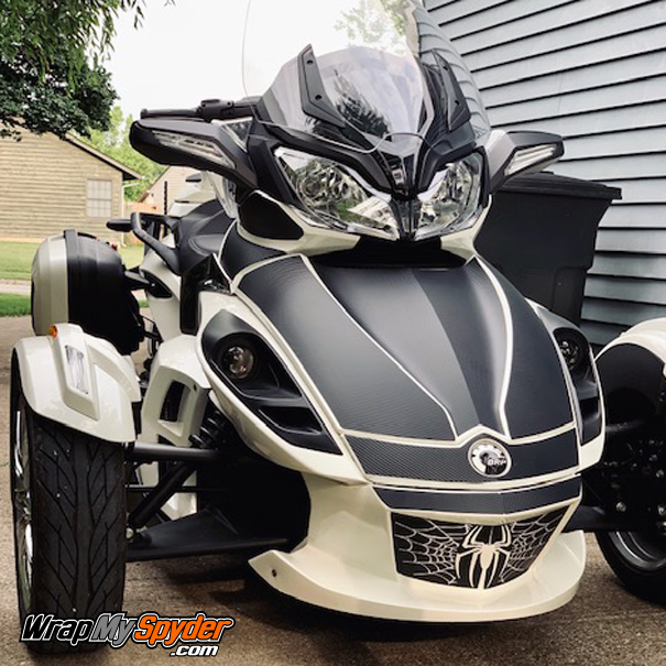 Spyder-web RS-air-dam insert