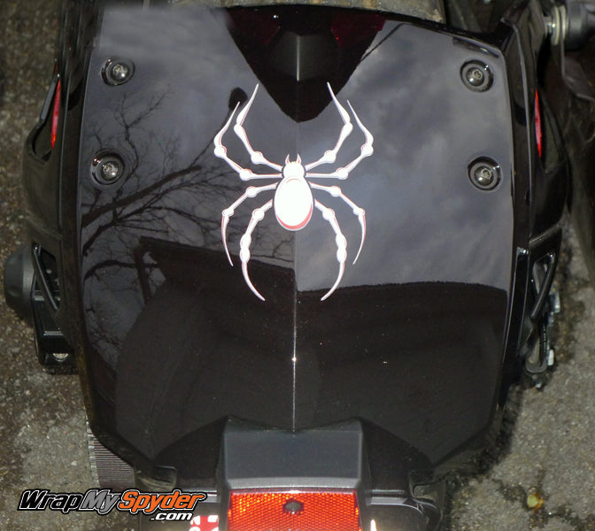 White Bellerdine spider mounted on rear fender